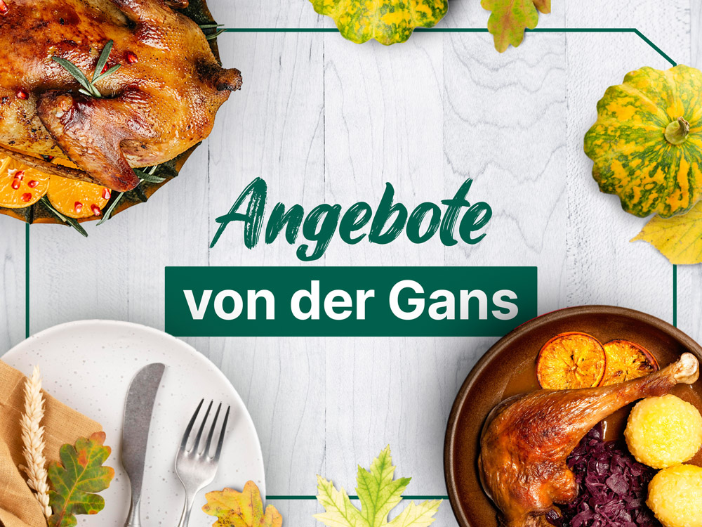 Beginn der Gänsezeit